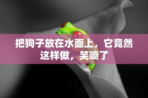 把狗子放在水面上，它竟然這樣做，笑噴了