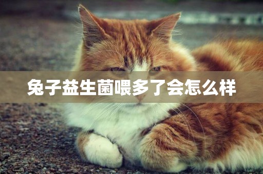兔子益生菌喂多了會怎么樣
