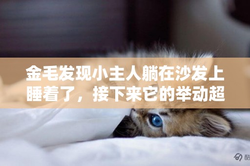 金毛發現小主人躺在沙發上睡著了，接下來它的舉動超有愛！