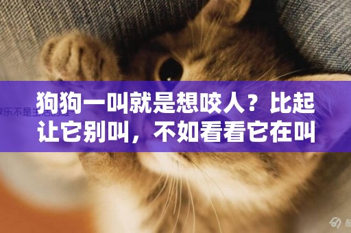 狗狗一叫就是想咬人？比起讓它別叫，不如看看它在叫什么？
