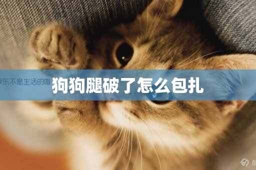 狗狗腿破了怎么包扎