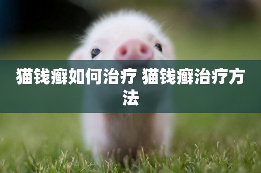 貓錢癬如何治療 貓錢癬治療方法