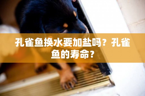 孔雀魚換水要加鹽嗎？孔雀魚的壽命？