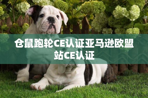 倉鼠跑輪CE認證亞馬遜歐盟站CE認證