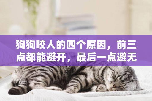 狗狗咬人的四個原因，前三點都能避開，最后一點避無可避