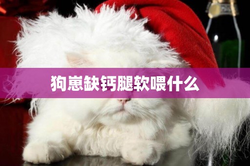 狗崽缺鈣腿軟喂什么