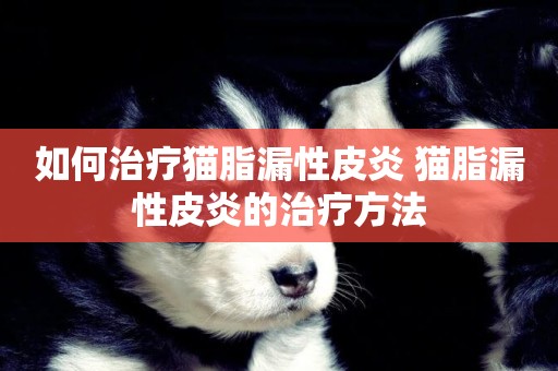 如何治療貓脂漏性皮炎 貓脂漏性皮炎的治療方法