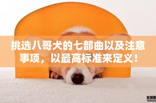 挑選八哥犬的七部曲以及注意事項，以最高標準來定義！