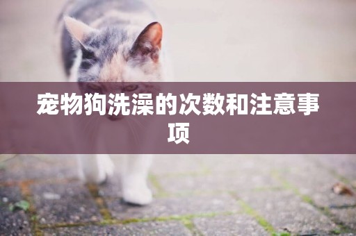 寵物狗洗澡的次數和注意事項
