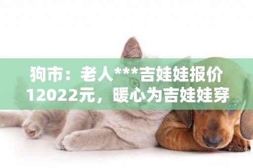 狗市：老人***吉娃娃報價12022元，暖心為吉娃娃穿上衣服！