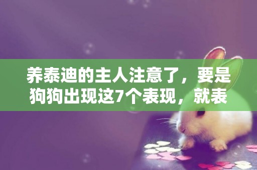 養泰迪的主人注意了，要是狗狗出現這7個表現，就表示它不愛你了