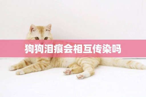 狗狗淚痕會相互傳染嗎