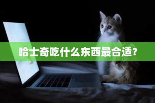 哈士奇吃什么東西最合適？