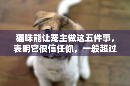 貓咪能讓寵主做這五件事，表明它很信任你，一般超過三件都很難！