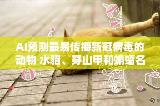 AI預測最易傳播新冠病毒的動物 水貂、穿山甲和蝙蝠名列前茅