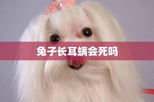 兔子長耳螨會死嗎