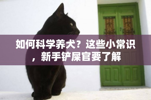 如何科學養犬？這些小常識，新手鏟屎官要了解