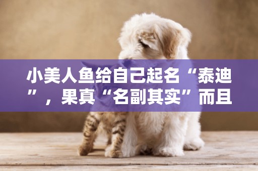 小美人魚給自己起名“泰迪”，果真“名副其實”而且衣服還縮了水