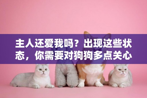 主人還愛我嗎？出現這些狀態，你需要對狗狗多點關心了