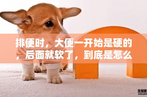 排便時，大便一開始是硬的，后面就軟了，到底是怎么回事？