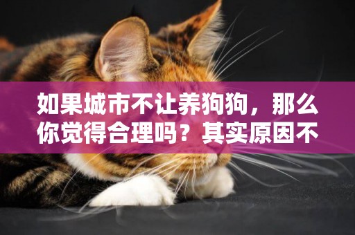如果城市不讓養狗狗，那么你覺得合理嗎？其實原因不在動物身上