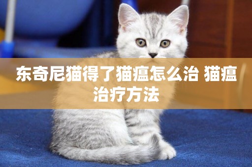 東奇尼貓得了貓瘟怎么治 貓瘟治療方法