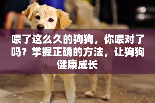 喂了這么久的狗狗，你喂對了嗎？掌握正確的方法，讓狗狗健康成長
