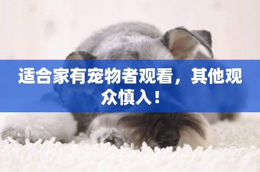 適合家有寵物者觀看，其他觀眾慎入！