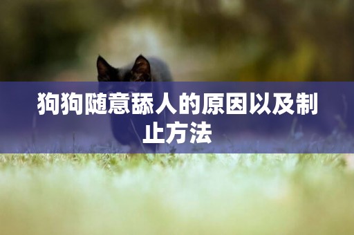 狗狗隨意舔人的原因以及制止方法