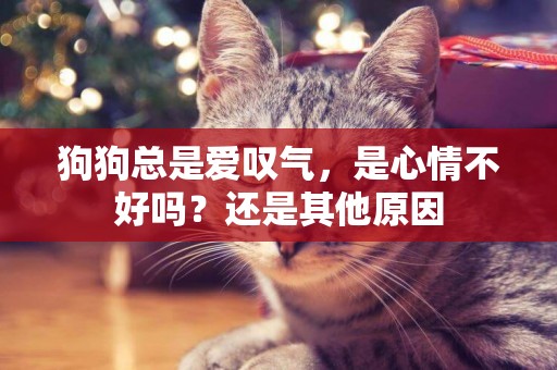 狗狗總是愛嘆氣，是心情不好嗎？還是其他原因