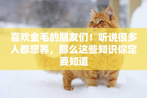 喜歡金毛的朋友們！聽說很多人都想養，那么這些知識你定要知道