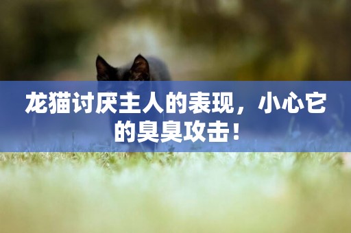 龍貓討厭主人的表現，小心它的臭臭攻擊！