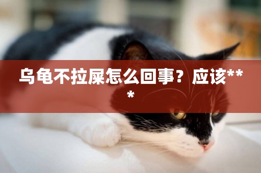 烏龜不拉屎怎么回事？應該***