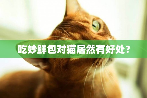 吃妙鮮包對貓居然有好處？