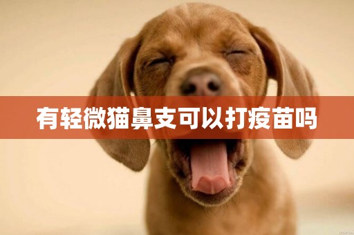 有輕微貓鼻支可以打疫苗嗎