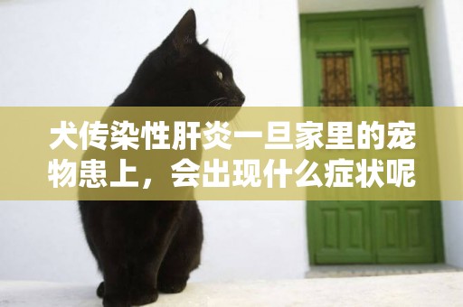 犬傳染性肝炎一旦家里的寵物患上，會出現什么癥狀呢？了解下