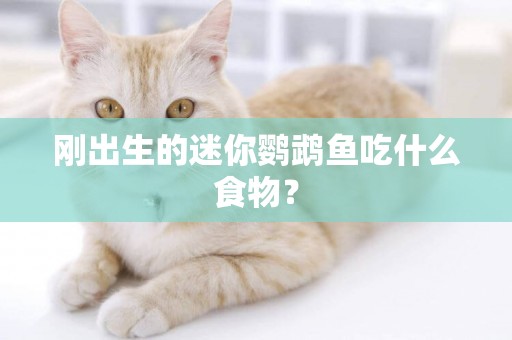 剛出生的迷你鸚鵡魚吃什么食物？