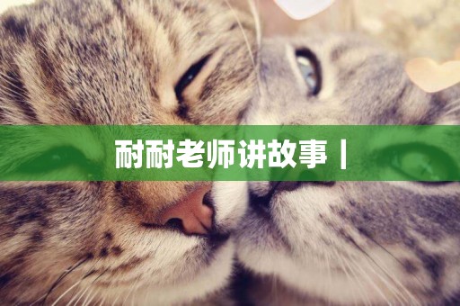 耐耐老師講故事｜