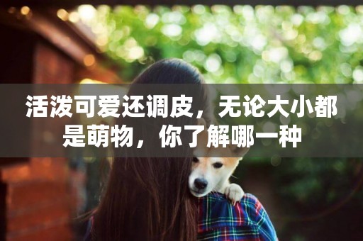 活潑可愛還調皮，無論大小都是萌物，你了解哪一種