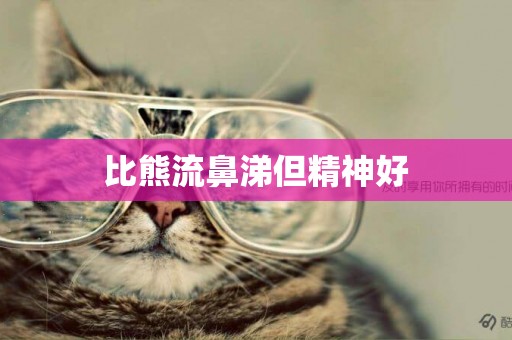 比熊流鼻涕但精神好