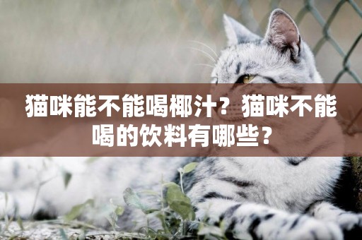 貓咪能不能喝椰汁？貓咪不能喝的飲料有哪些？