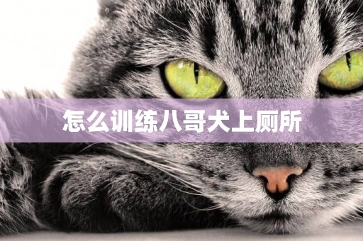 怎么訓練八哥犬上廁所