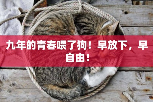 九年的青春喂了狗！早放下，早自由！