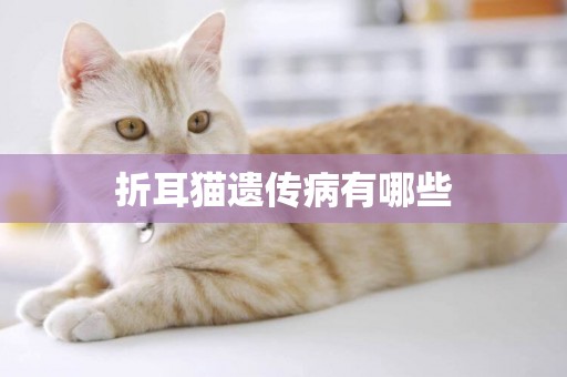 折耳貓遺傳病有哪些