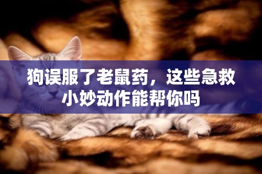 狗誤服了老鼠藥，這些急救小妙動作能幫你嗎