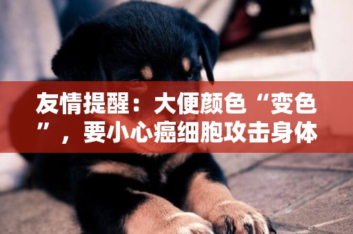 友情提醒：大便顏色“變色”，要小心癌細胞攻擊身體，不要總忽視