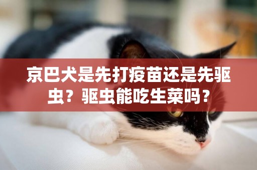 京巴犬是先打疫苗還是先驅蟲？驅蟲能吃生菜嗎？