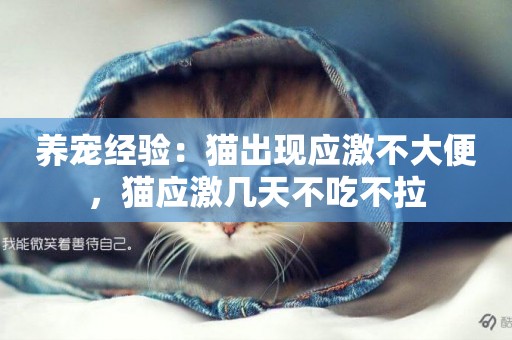 養寵經驗：貓出現應激不大便，貓應激幾天不吃不拉