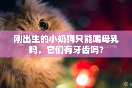 剛出生的小奶狗只能喝母乳嗎，它們有牙齒嗎？