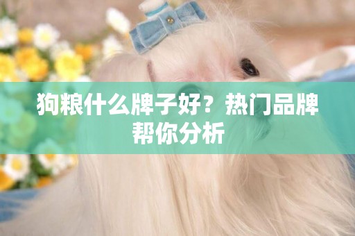 狗糧什么牌子好？熱門品牌幫你分析